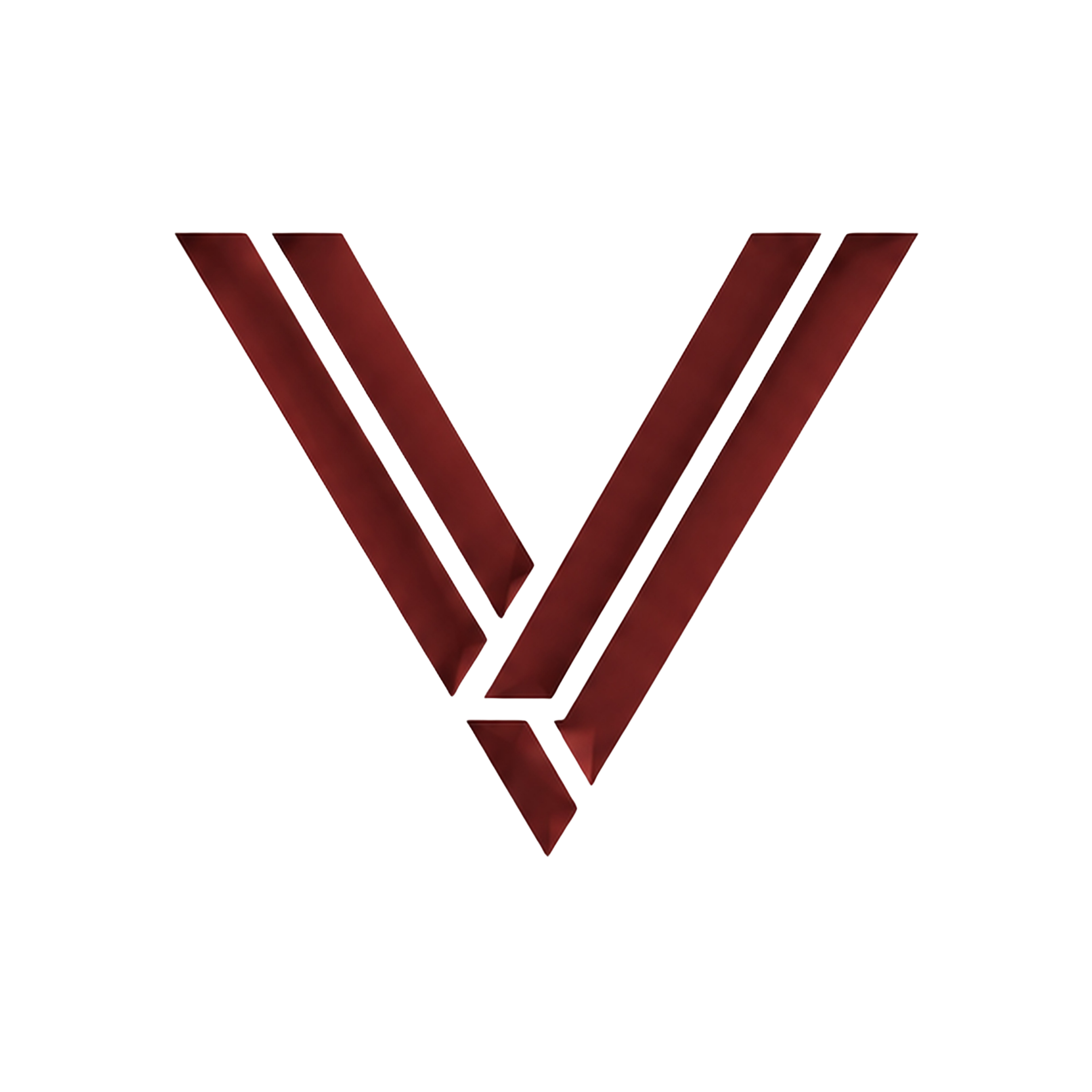 Vianzo Logo
